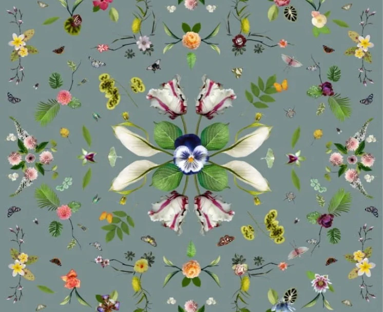 Mooi_Carpets_Schmoelz_plus